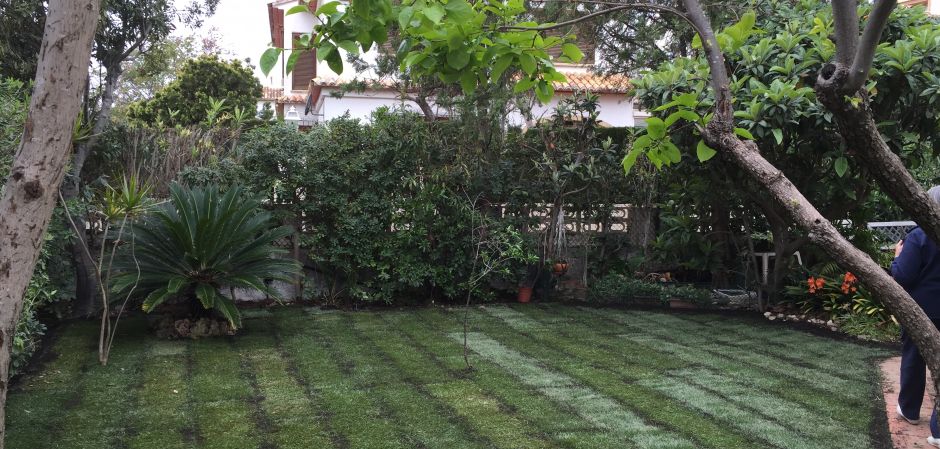 Presupuesto Cesped Artificial